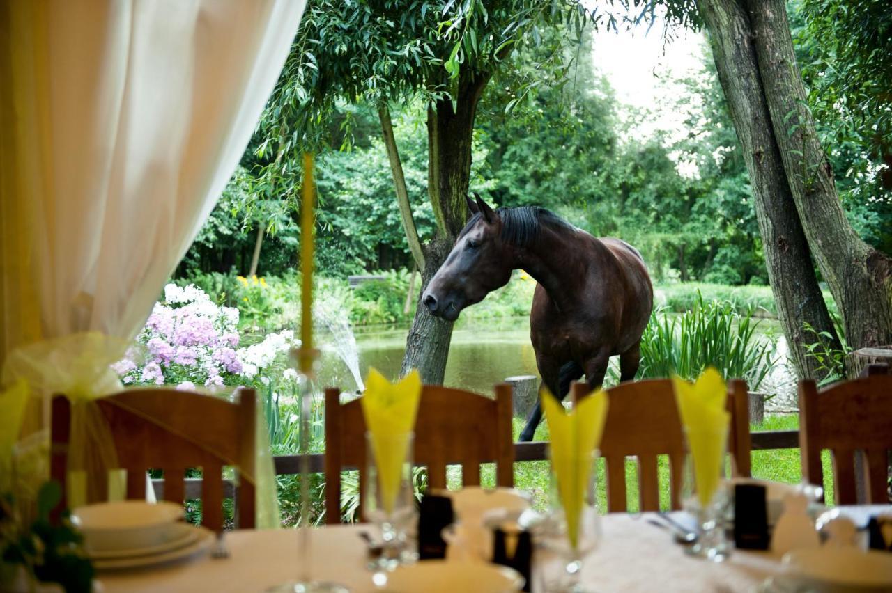 Rancho Slezanski Mlyn Szczepanów Esterno foto